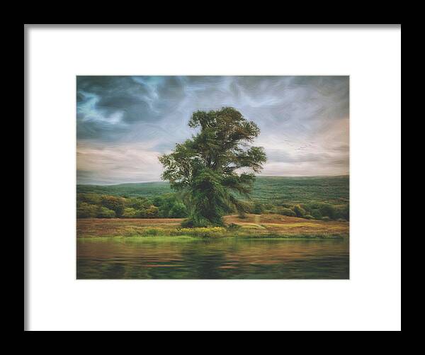 Tree Framed Print featuring the photograph Resplendent Tree by Carol Whaley Addassi