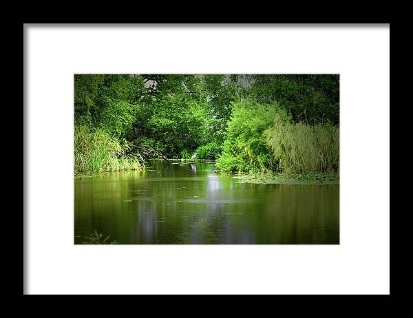Resting Heron Framed Print featuring the photograph Resting heron #l2 by Leif Sohlman