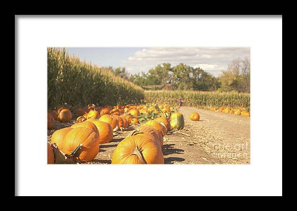 Retro Framed Print featuring the photograph Retro pumpkin patch by Steve Speights
