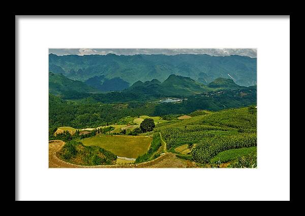 Rice Framed Print featuring the photograph Rice fields, Vietnam by Robert Bociaga