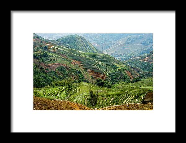 Black Framed Print featuring the photograph Rice Terraces of Lao Cai by Arj Munoz