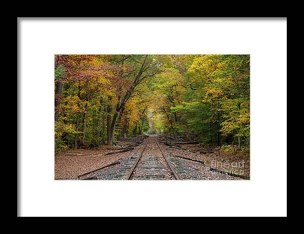 Rail Road Framed Print featuring the photograph Ride into the Colors of Fall by Yelena Rozov