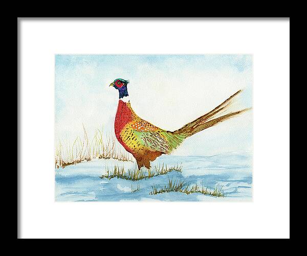 Bird Framed Print featuring the painting Ring-Neck Pheasant in the Snow watercolor by Deborah League