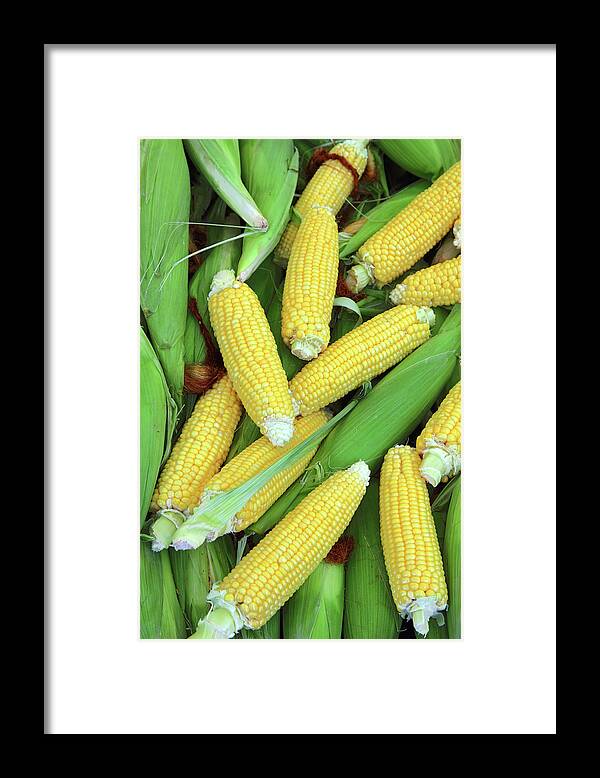 Corn Framed Print featuring the photograph Ripe Corn - Food Background by Mikhail Kokhanchikov