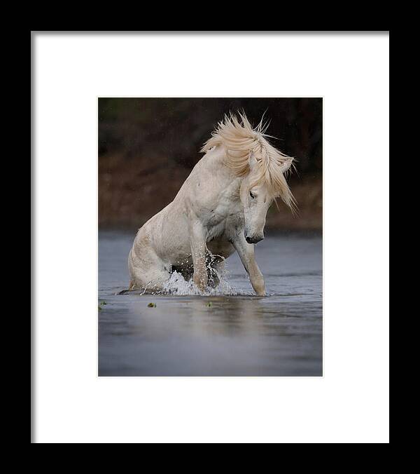 Stallion Framed Print featuring the photograph Rising from the River. by Paul Martin