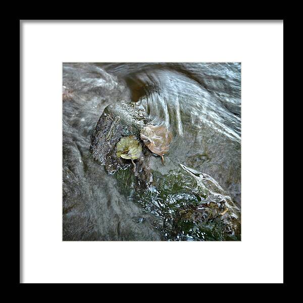 Stream Flow Leaves Reflection Framed Print featuring the photograph River Hipper detail by Jerry Daniel