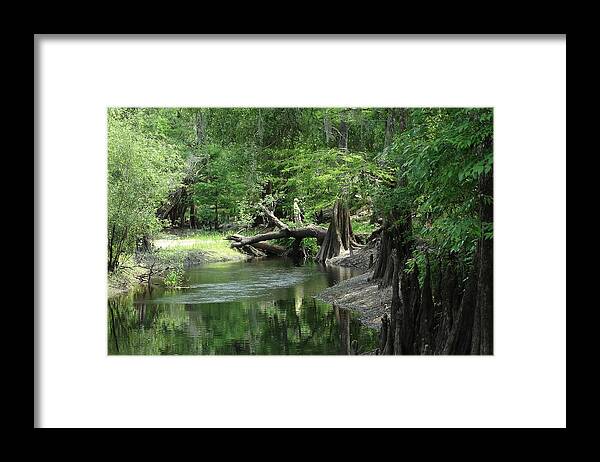 Woods Framed Print featuring the photograph River Wonder by Lizette Tolentino