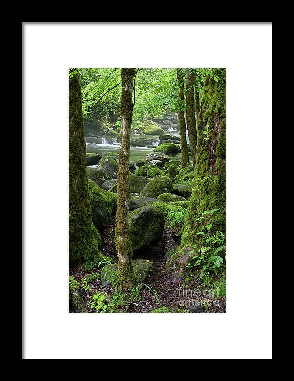 Moss Framed Print featuring the photograph Riverside Moss 2 by Phil Perkins