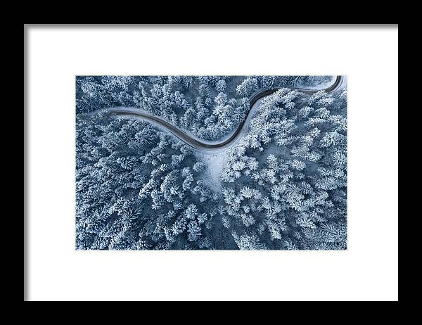 Environmental Conservation Framed Print featuring the photograph Road Leading Through The Winter Forest by Borchee