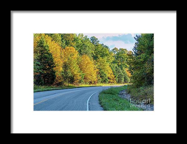 Ozarks Framed Print featuring the photograph Road Through Mark Twain National Forest by Jennifer White