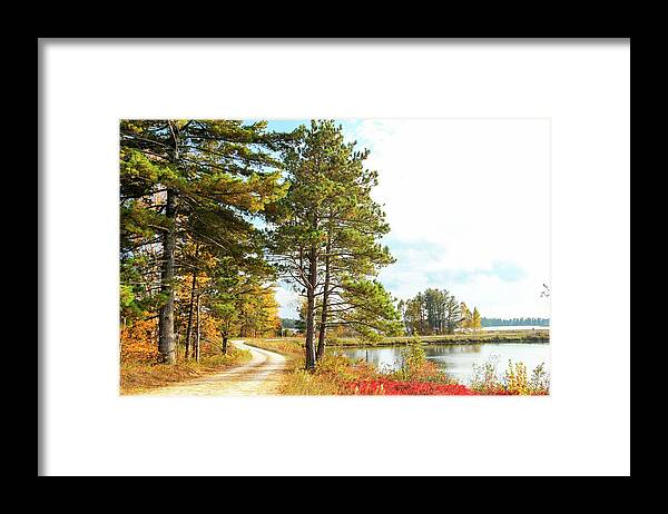 Seney National Wildlife Refuge Framed Print featuring the photograph Road Through the Wildlife Refuge by Robert Carter