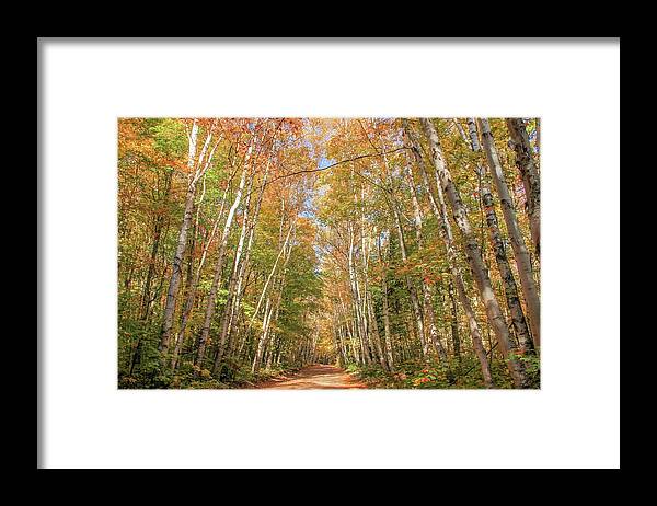 Michigan Framed Print featuring the photograph Road to the Trailhead by Robert Carter
