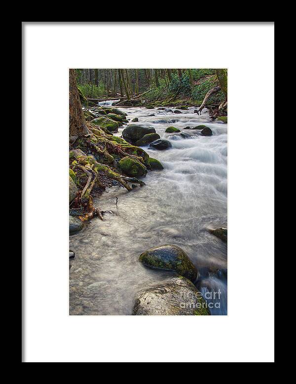  Framed Print featuring the photograph Roadside Creek 3 by Phil Perkins