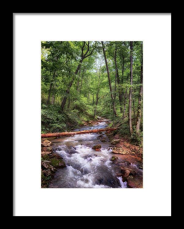 Roaring Run Framed Print featuring the photograph Roaring Run Creek - Eagle Rock Virginia by Susan Rissi Tregoning