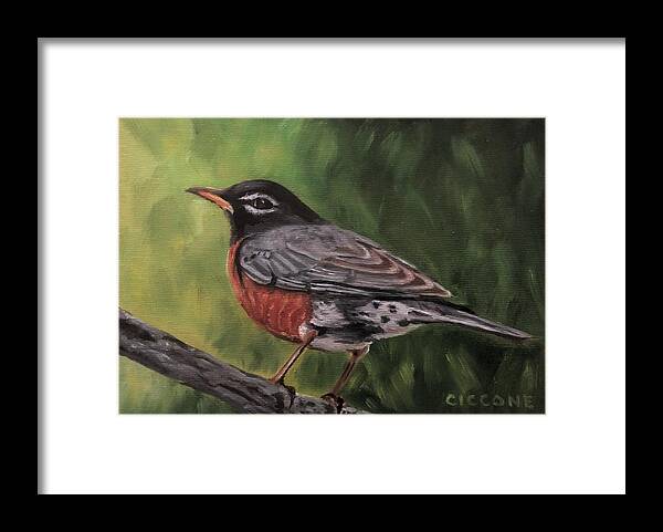Bird Framed Print featuring the painting Robin by Jill Ciccone Pike