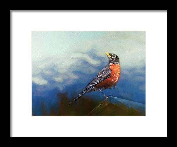 Robins Framed Print featuring the photograph Robin's Perch by Marjorie Whitley