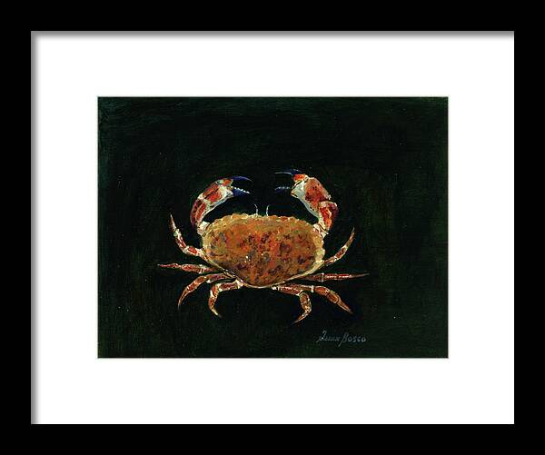 Rock Crab Painting Framed Print featuring the painting Rock crab by Juan Bosco