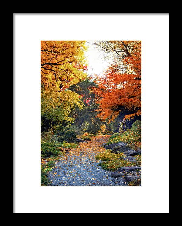 Autumn Framed Print featuring the photograph Rock Garden Path by Jessica Jenney