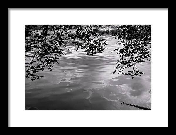 Adirondack Forest Preserve Framed Print featuring the photograph Rock Pond by Bob Grabowski
