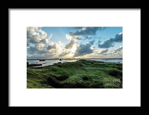 Piñones Framed Print featuring the photograph Rocks Covered in Moss at Sunset, Pinones, Puerto Rico by Beachtown Views