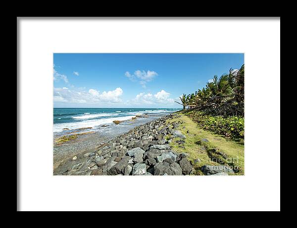 Palm Trees Framed Print featuring the photograph Rocky Coastline, Old San Juan, Puerto Rico by Beachtown Views