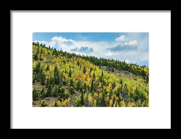 Fall Framed Print featuring the photograph Rocky Mountains Fall Foliage by Kyle Hanson