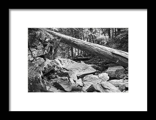Tennessee Framed Print featuring the photograph Rocky River Bed by Phil Perkins