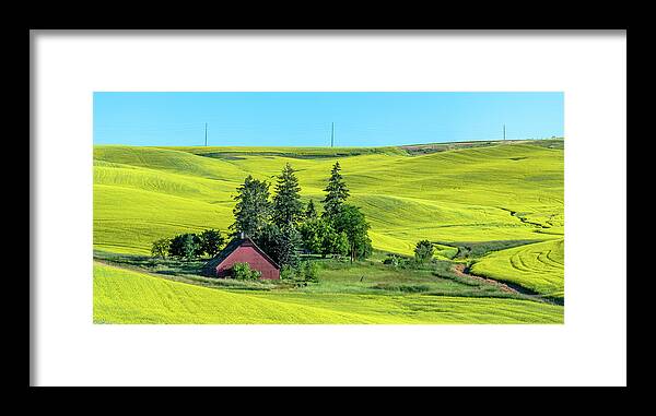 Outdoors Framed Print featuring the photograph Rolling Hills Canola and Barn by Doug Davidson