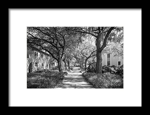 Rollins College Framed Print featuring the photograph Rollins College Landscape by University Icons