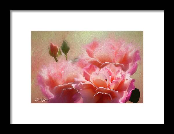 Roses Framed Print featuring the photograph Romance A Trio Of Roses by Diane Schuster