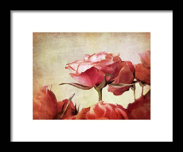 Rose Framed Print featuring the photograph Romantic Roses by Jessica Jenney