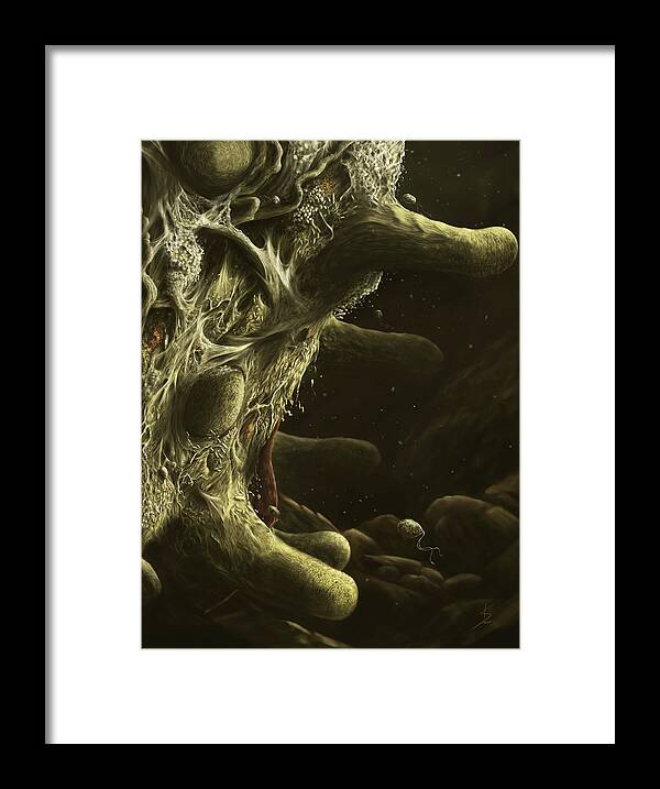 Biodiversity Framed Print featuring the digital art Root surface by Kate Solbakk