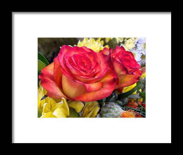 Roses Framed Print featuring the photograph Rose Bouquet by Janice Drew