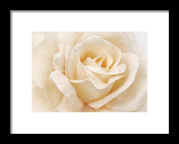 Rose Framed Print featuring the photograph Rose Fabric Beige Texture by Severija Kirilovaite