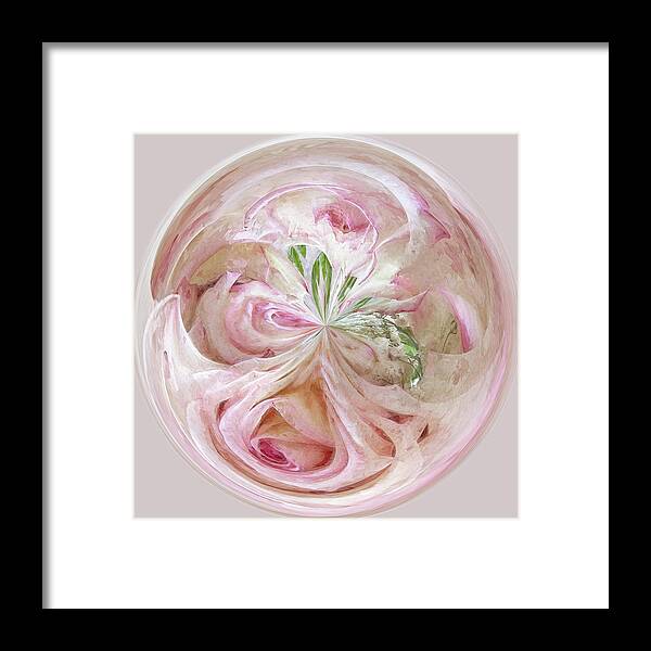 Orb Framed Print featuring the photograph Rose Orb by Karen Lynch