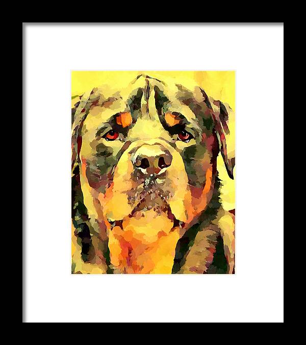 Rottweiler Framed Print featuring the painting Rottweiler 6 by Chris Butler