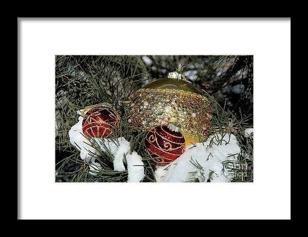 Fextive Framed Print featuring the photograph Round Holiday Ornaments Outdoors by Kae Cheatham