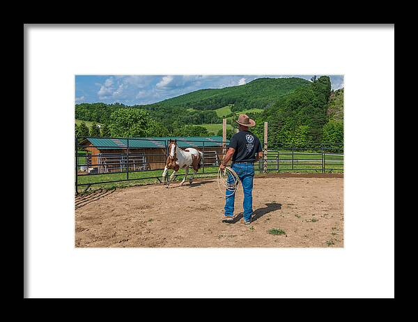 Horse Framed Print featuring the photograph Round pen work #1 by Tricia Louque