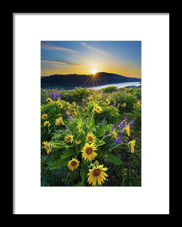 Oregon Framed Print featuring the photograph Rowena Sunrise by Patrick Campbell
