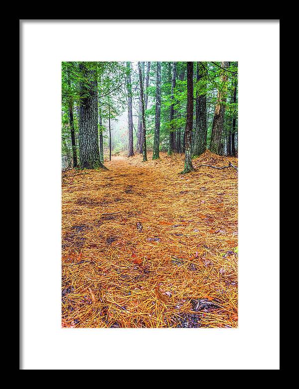 Hiking Framed Print featuring the photograph The Trail by Ed Newell