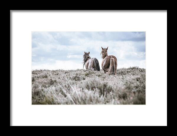 Horse Framed Print featuring the photograph Run away with me - Horse Art by Lisa Saint