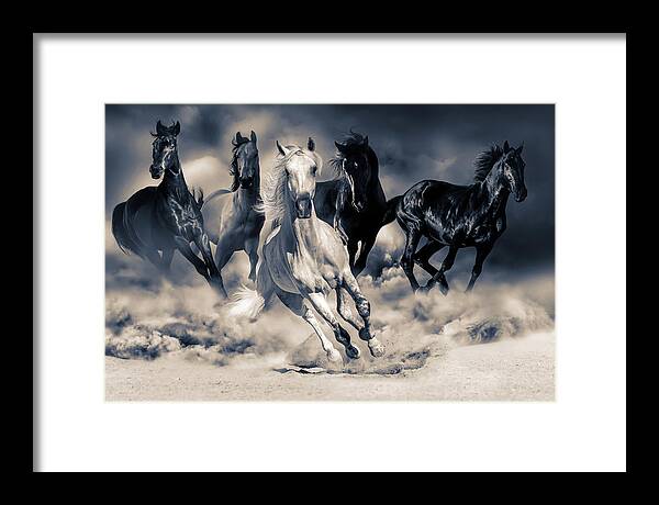 Horses Framed Print featuring the digital art Running Horses by Steve Ladner