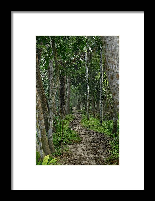 Country Road Framed Print featuring the photograph Rural Trail - Bangladesh by Amazing Action Photo Video