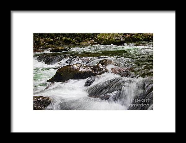 Landscape Framed Print featuring the photograph Rushing mountain water, Smoky Mountains, Big Creek North Carolina by Theresa D Williams