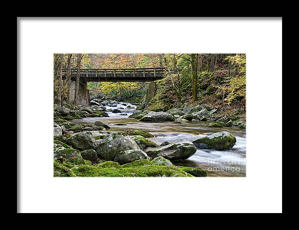 Autumn Framed Print featuring the photograph Rustic Wooden Bridge by Phil Perkins