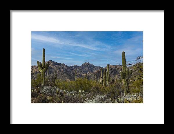 Sabino Arizona Framed Print featuring the digital art Sabino Arizona by Tammy Keyes