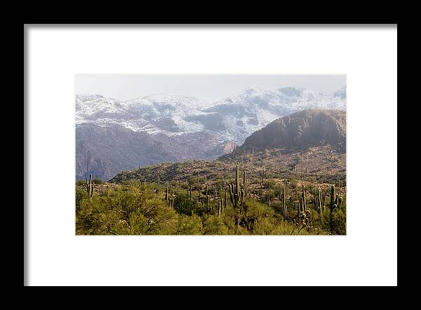Arizona Framed Print featuring the photograph Saguaro Amongst The Hills Of Snow by Saija Lehtonen