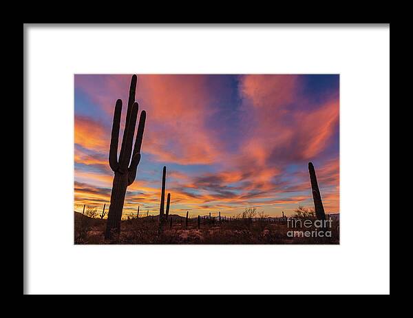 Landscape Framed Print featuring the photograph Saguaro Sunrise by Seth Betterly