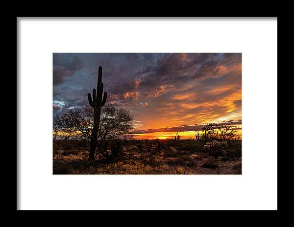 Saguaro Sunset Framed Print featuring the photograph Saguaro Sunset 1001 by Saija Lehtonen