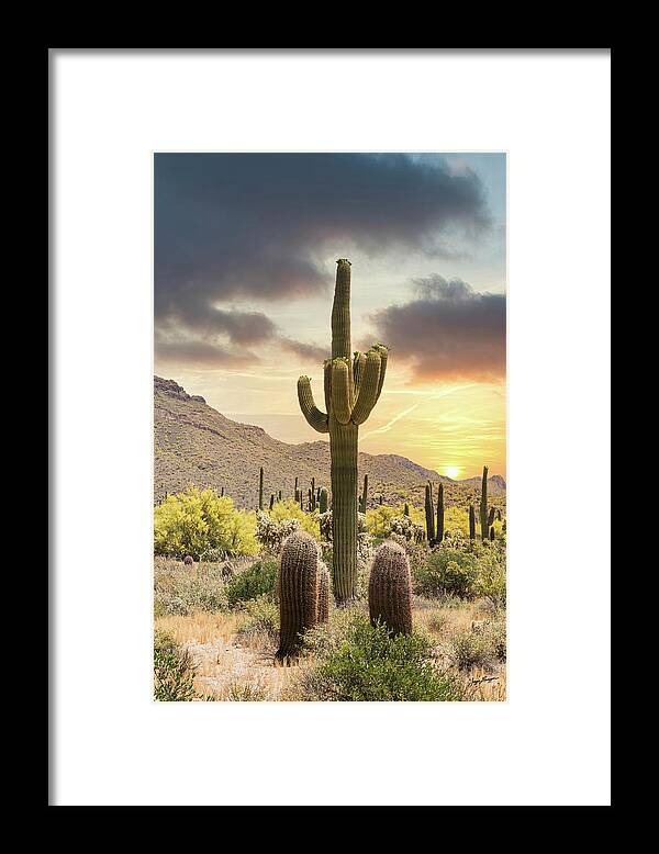 Saguaro Cactus Framed Print featuring the photograph Saguaro Sunset by Jurgen Lorenzen